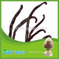 Hot sale and super quality vanillin and vanilla powder with competitive price